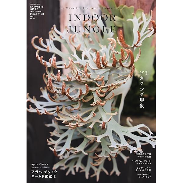 INDOOR JUNGLE No.03 (2025-12-24) [雑誌] | エムピージェー | 趣味